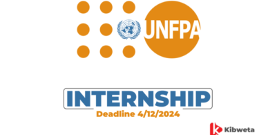 4 UNFPA Tanzania Internship Opportunities