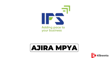 Accountant Jobs at IFS Tanzania