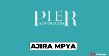 Accountant Jobs at PIER Advocates