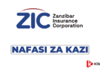 Branch Manager Jobs at Zanzibar Insurance Corporation