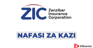 Branch Manager Jobs at Zanzibar Insurance Corporation