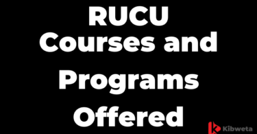 Courses and Programs Offered by Ruaha Catholic University (RUCU) in 2025-2026