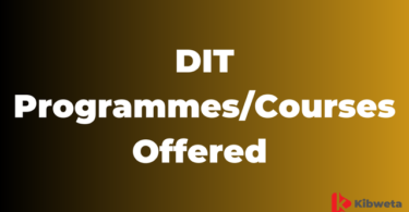 DIT Programmes/Courses Offered 2025/2026