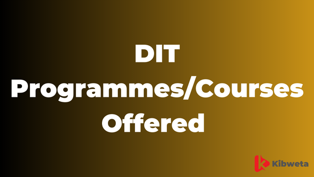 DIT Programmes/Courses Offered 2025/2026