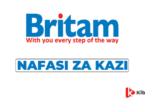 Internal Audit Manager Jobs at Britam