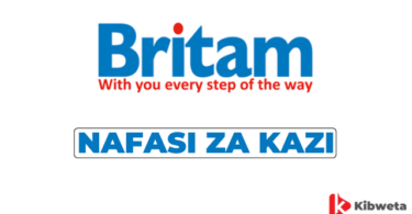 Internal Audit Manager Jobs at Britam