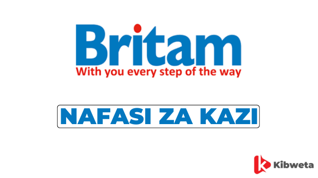 Internal Audit Manager Jobs at Britam