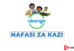 Monitoring Evaluation and Learning (MEL) Officer Jobs at Ubongo Kids