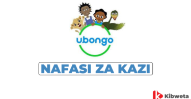 Monitoring Evaluation and Learning (MEL) Officer Jobs at Ubongo Kids