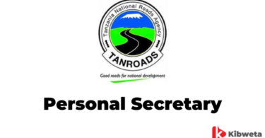 Personal Secretary Jobs at TANROADS