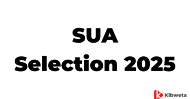 SUA Selection 2025 Results: How to Check Your Admission Status Easily