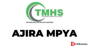 Safety Officer Jobs at TMHS Tanzania