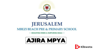 School Accountant Jobs at Mbezi Beach Pre and Primary School