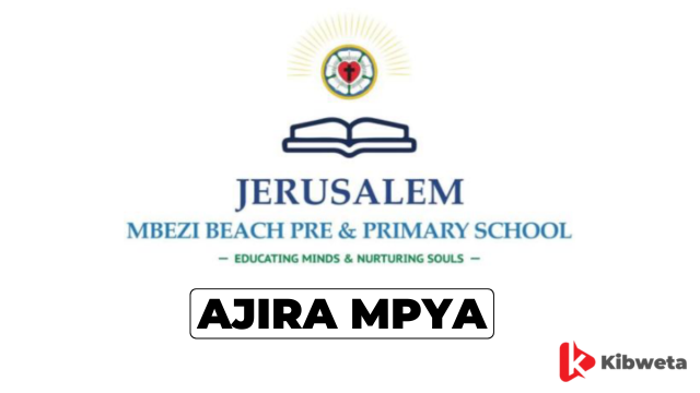 School Accountant Jobs at Mbezi Beach Pre and Primary School