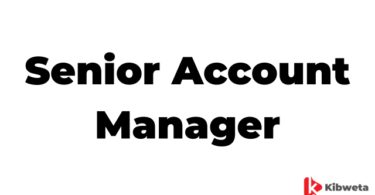 Senior Account Manager Jobs Description