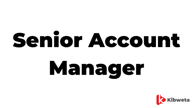 Senior Account Manager Jobs Description