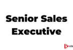 Senior Sales Executive Jobs Description