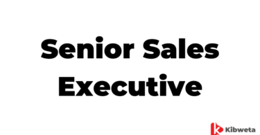 Senior Sales Executive Jobs Description