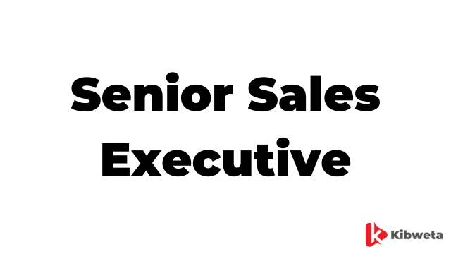 Senior Sales Executive Jobs Description