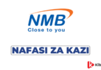NOC Systems Administrator Jobs at NMB Bank PLC