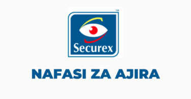 Securex Security Hiring Accountants 2 posts