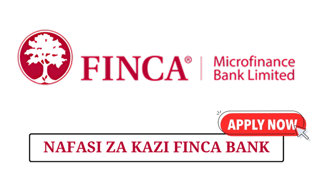 FINCA Microfinance Bank (T) Limited Hiring Branch Manager