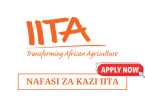 IITA Hiring Assistant Data Analyst – Meteorological Agricultural