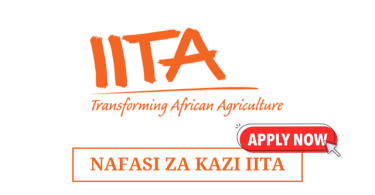 IITA Hiring Assistant Data Analyst – Meteorological Agricultural