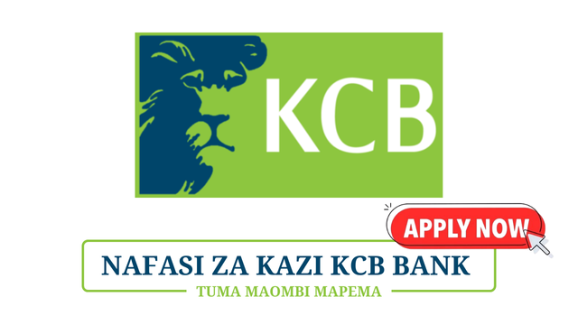 KCB Bank Is Hiring Customer Experience Executive