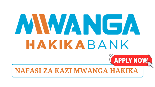 Mwanga Hakika Bank Is Hiring Relationship Manager