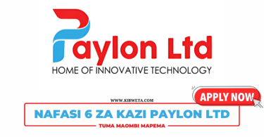 Paylon Ltd Hiring In 6 Positions