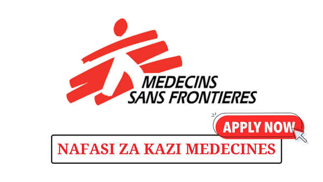 Project Coordinator Assistant at Médecins Sans Frontières February 2025