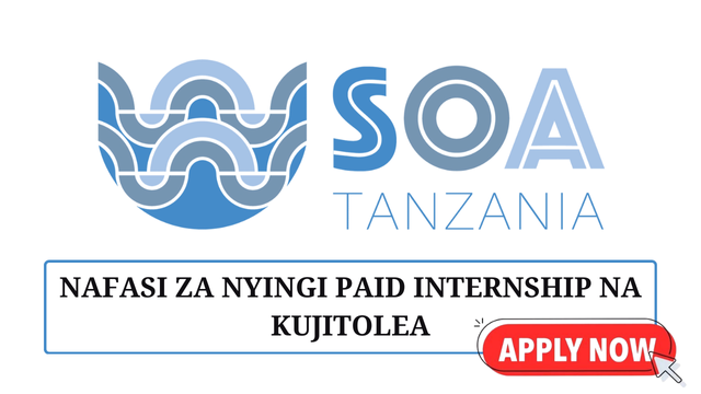 SOA Tanzania Hiring Paid Internships and Volunteers