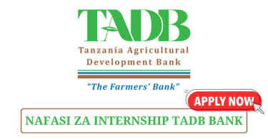 TADB Is Hiring Legal Services Intern