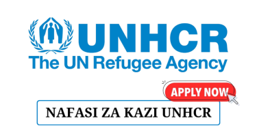 UNHCR Is Hiring Associate Data Management Officer