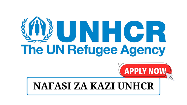 UNHCR Is Hiring Associate Data Management Officer