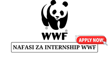 WWF Is Hiring Marine Internship 