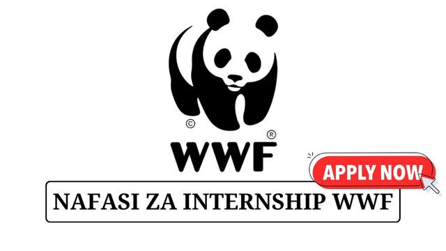 WWF Is Hiring Marine Internship 