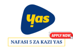 Yas Tanzania Vacancies 2025