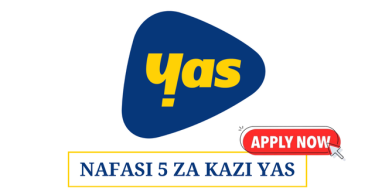 Yas Tanzania Vacancies 2025