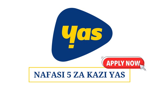 Yas Tanzania Vacancies 2025