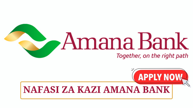  Branch Manager – 2 Posts at Amana Bank February 2025