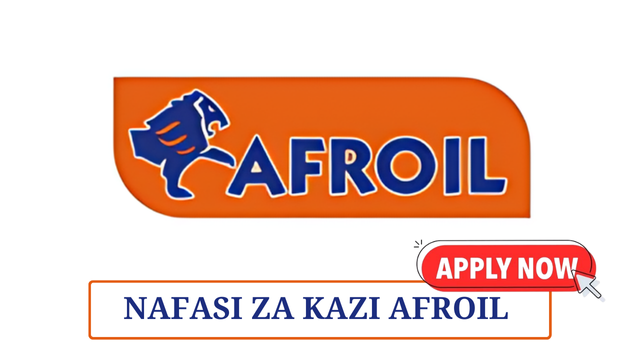 _ERP & Systems Integration Specialist at Afroil February 2025