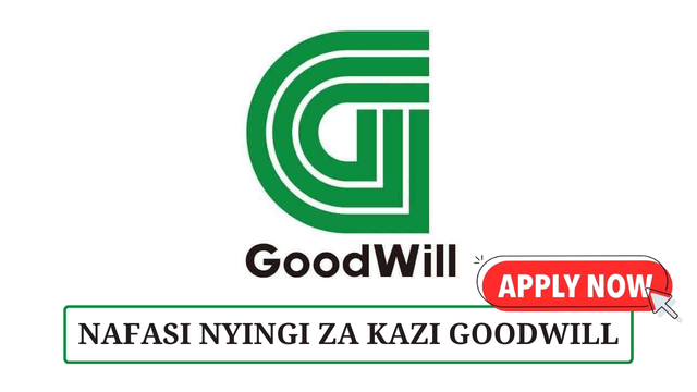 Goodwill Ceramics New Vacancies February 2025