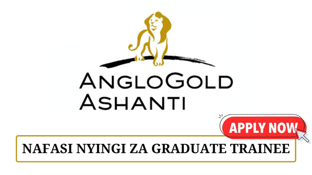 Graduate Trainee at Geita Gold Mining Ltd 2025