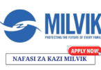 Head of Call Center Sales (Tanzania) Job Vacancy at Milvik