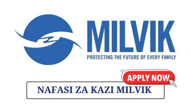Head of Call Center Sales (Tanzania) Job Vacancy at Milvik