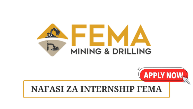 Internship Programme at Fema Mining & Drilling Limited February 2025