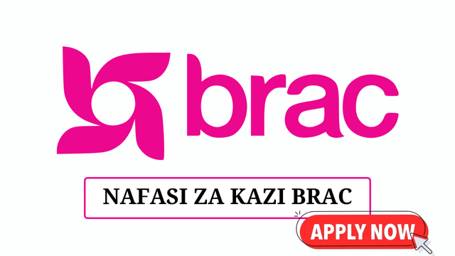 _Safeguarding Manager at BRAC February 2025