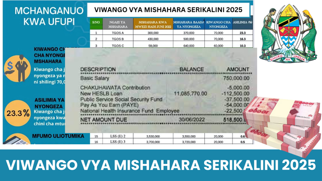 Viwango vya Mishahara Serikalini 2025